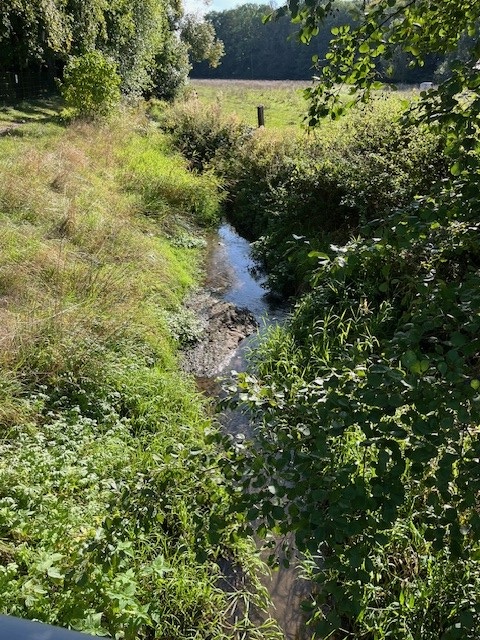begradigter Steibach © Verbandsgemeinde Wethautal