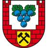 Landratswahl © Burgenlandkreis