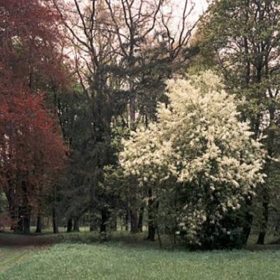 03park